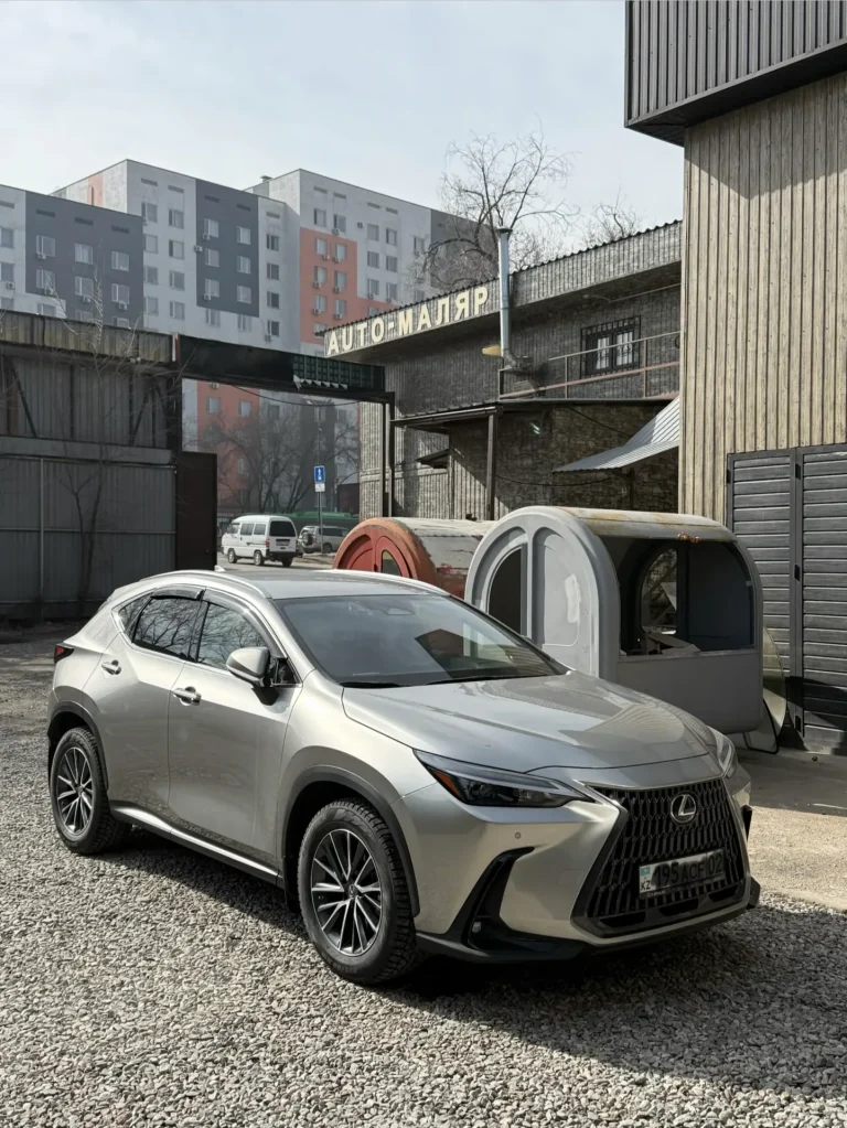 Lexus NX250 — фото антикоррозийной обработки
